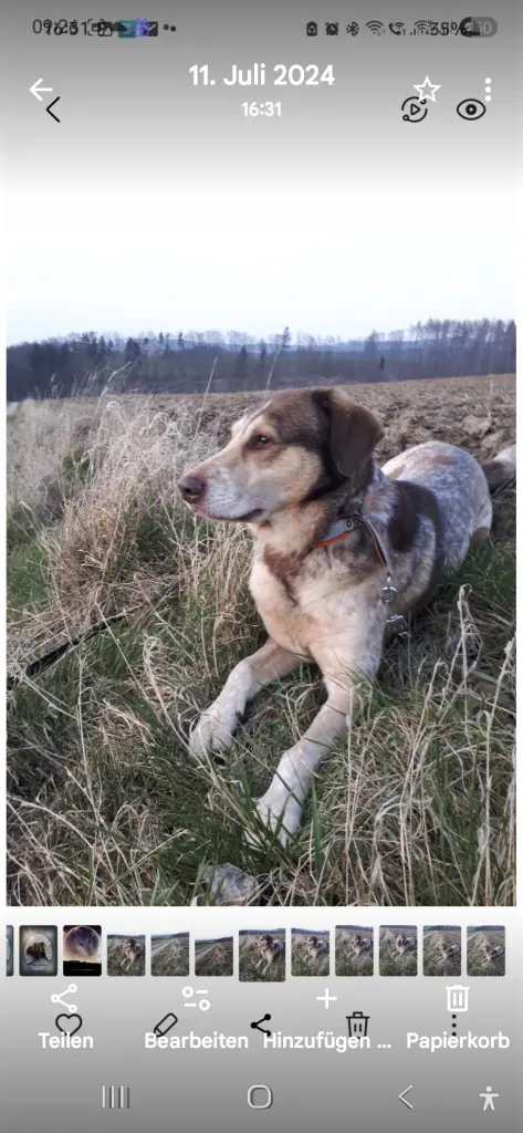 Ich vermisse dich unendlich