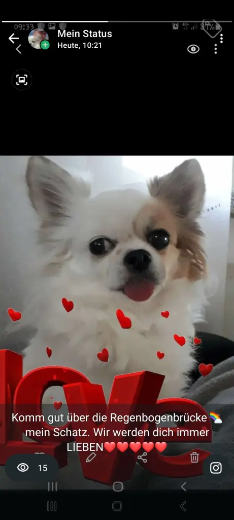 Condolence image of Stephanie Pohl