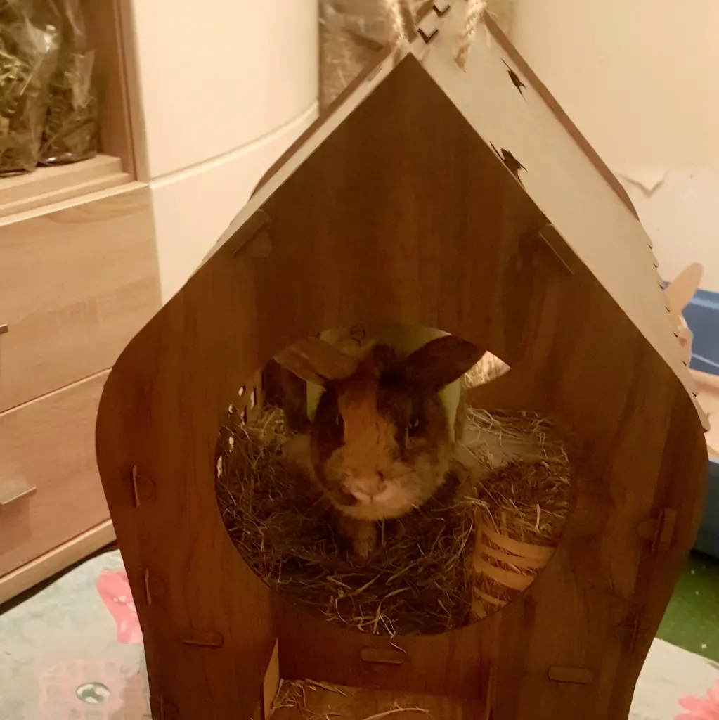 Dein Prinzessinnen-Schloss