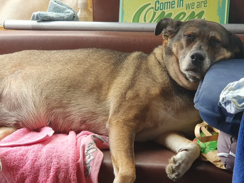 Condolence image of Ully