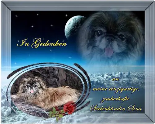 Image from meine Prinzessin Sina