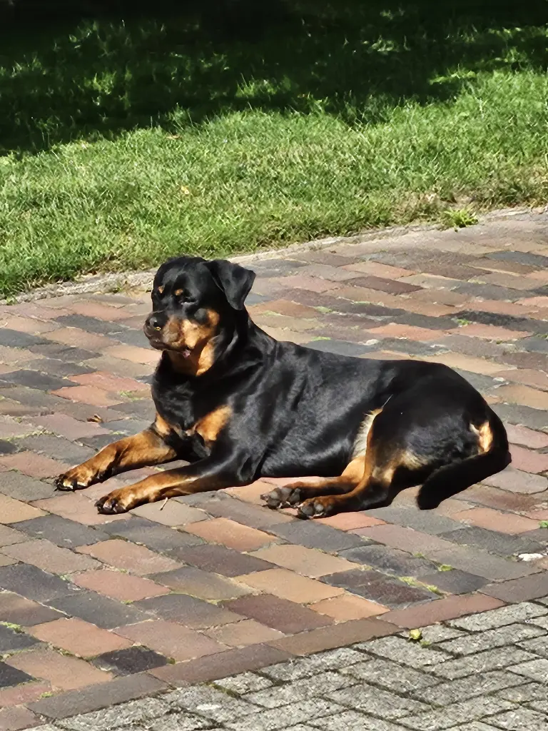 Bild von Theja
