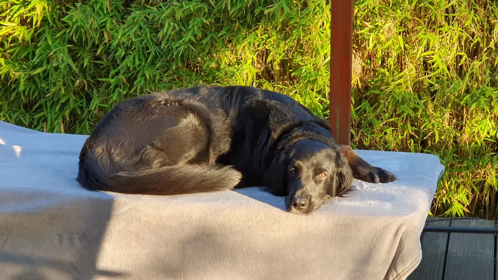 Lieblingsplatz auf der Terrasse