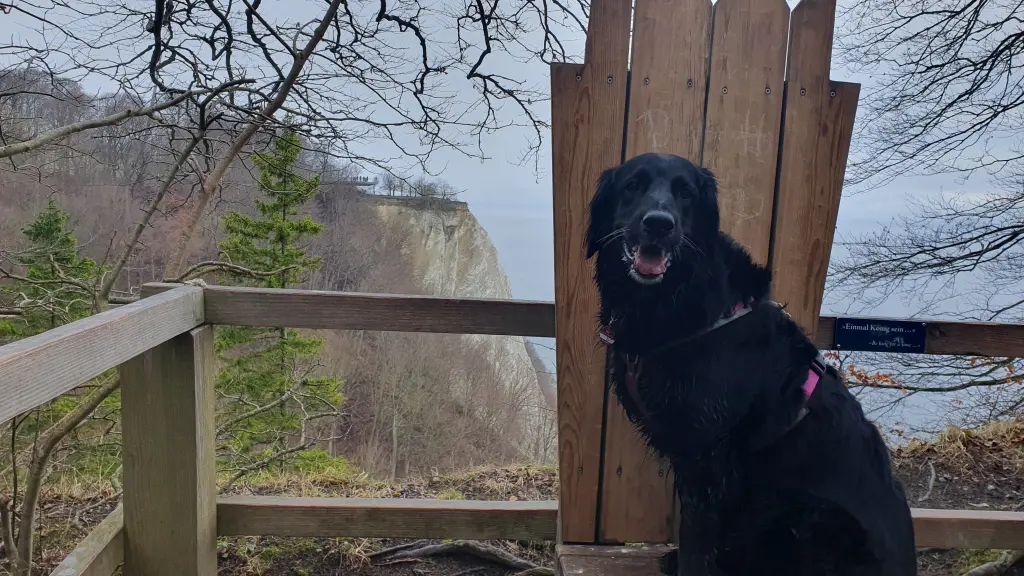 meine Prinzessin auf dem Königsstuhl