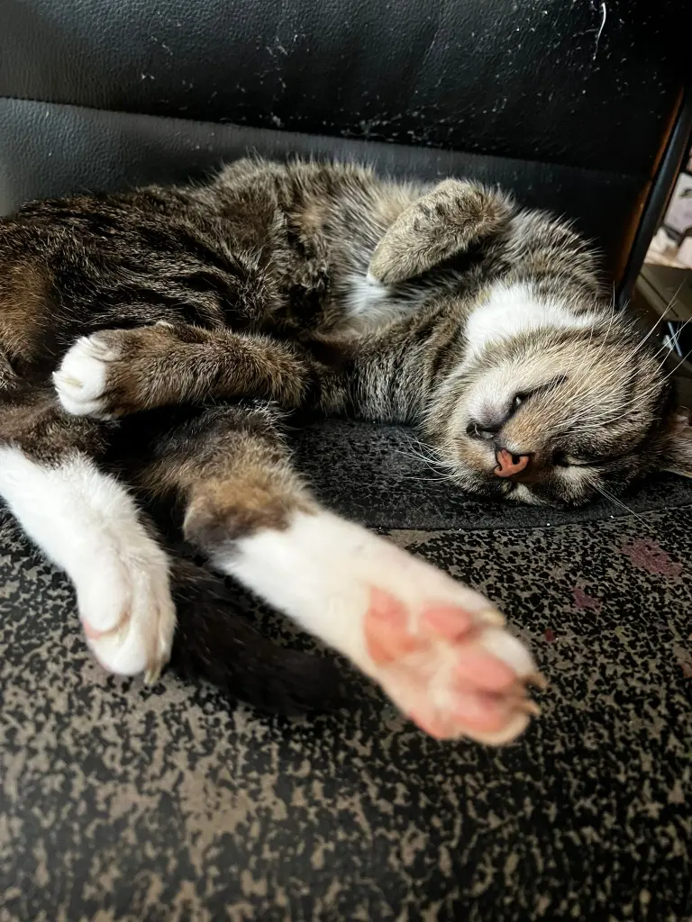 Condolence image of Nora und Romy Schneider