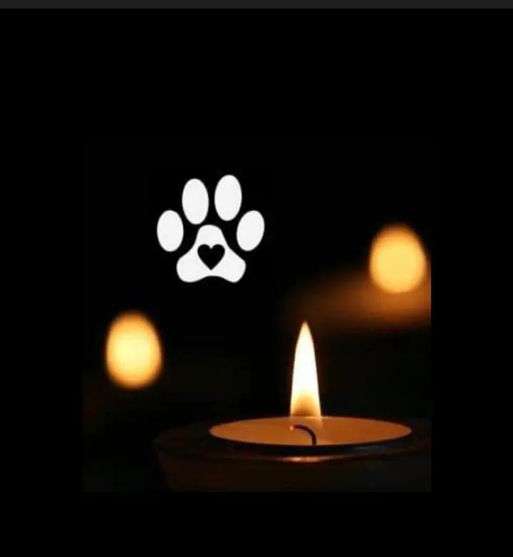 Condolence image of Sandra