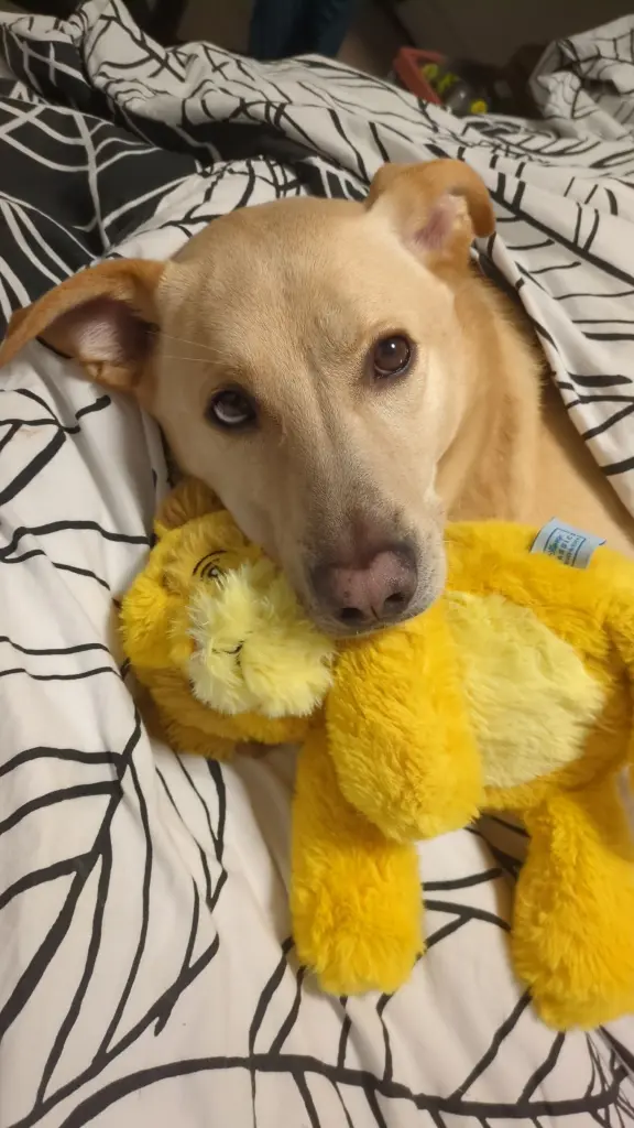 Condolence image of Ann-Kathrin Josten