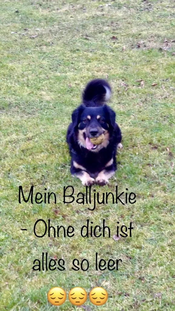 Condolence image of Franziska Bendig