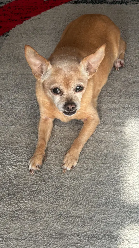 Condolence image of Jessica herbaum