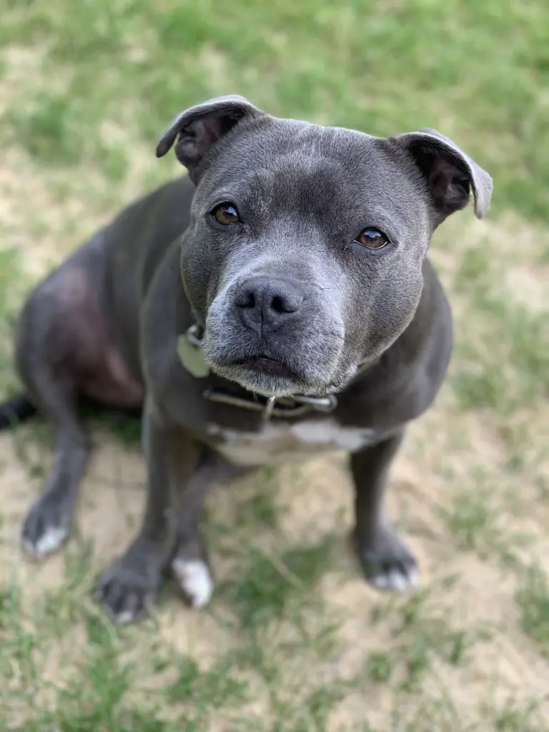 Condolence image of Lucie Böhme-Pallmann