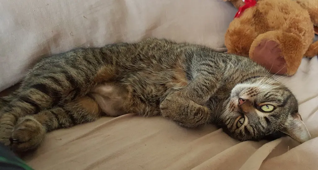 Andachtsbild von Siegbert Bube