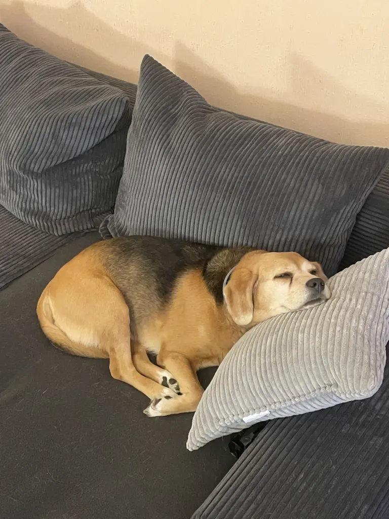 Condolence image of Stephan Schult