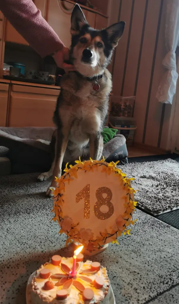 Condolence image of Andrea Rabenstein