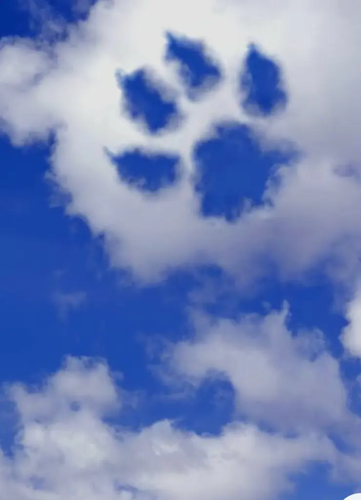 Condolence image of Luca Costa