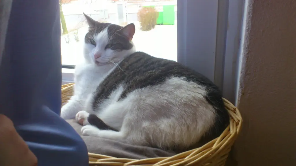 Condolence image of Veronika Braun