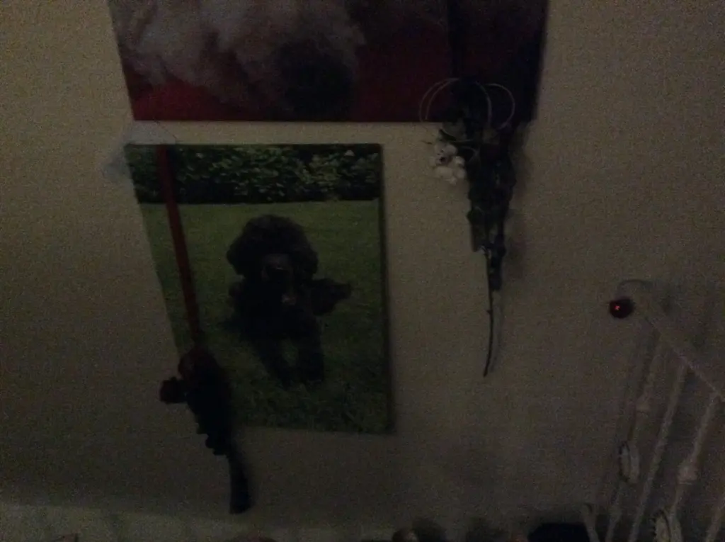 Condolence image of Heidi 