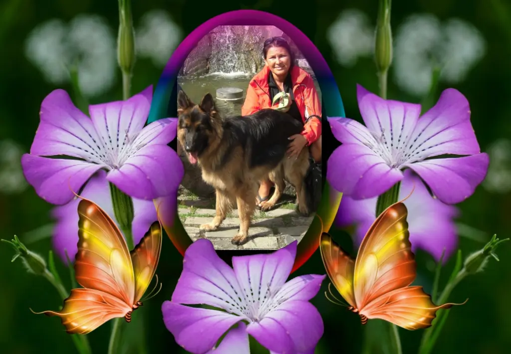 Condolence image of ❤❤❤Fur Misiu❤❤❤