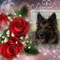 Condolence image of Dla Misiulka❤❤❤