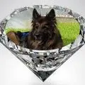 Condolence image of Dla Misiulka❤❤❤