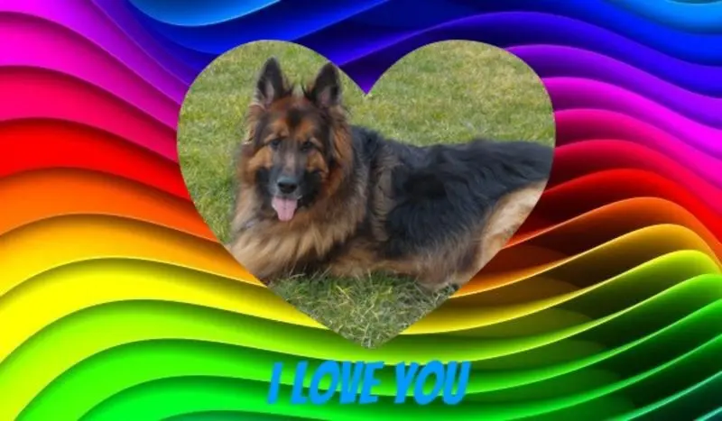 Condolence image of Kocham Cię❤❤❤