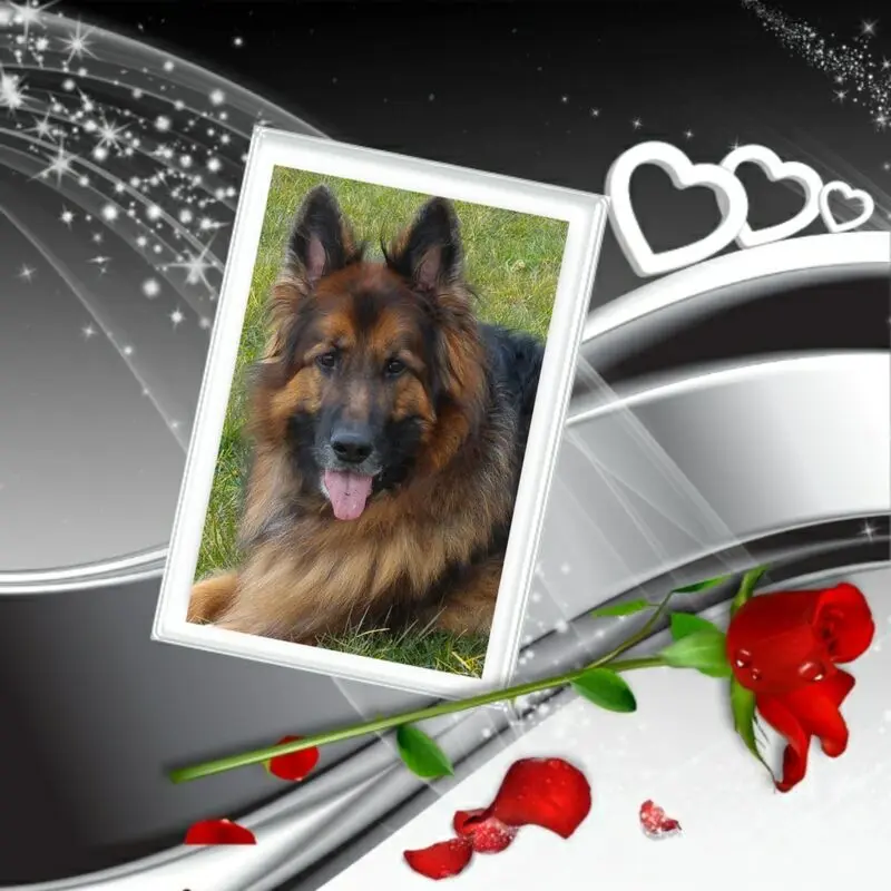 Condolence image of Kocham Cię❤❤❤