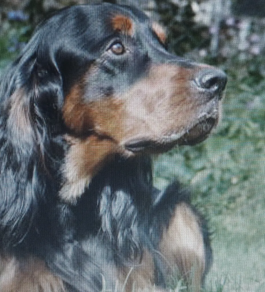 Condolence image of Monika u. Edgar