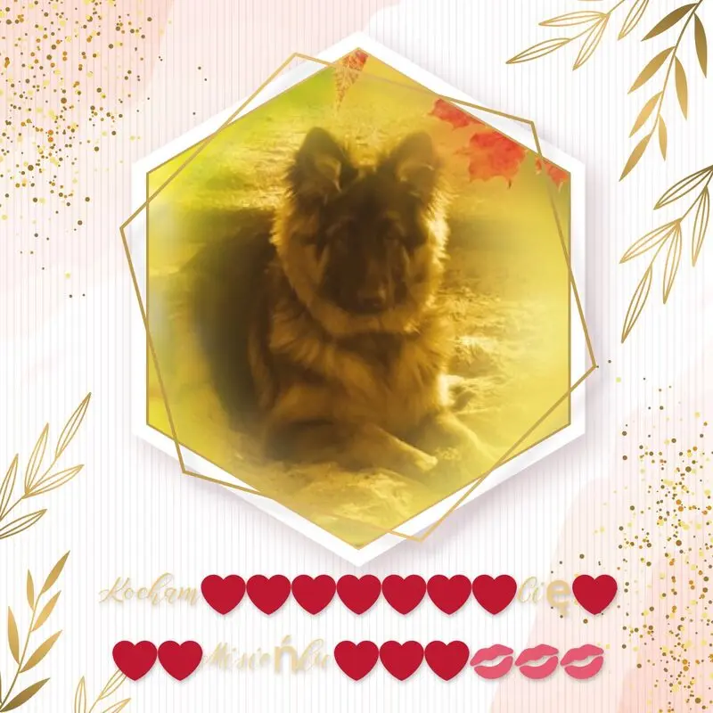 Condolence image of Kocham Cię❤❤❤
