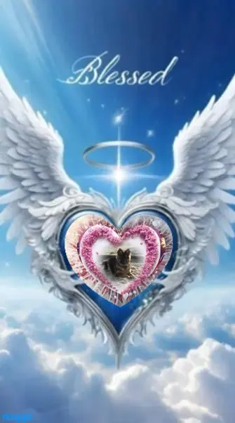 Condolence image of 7.Lat......BEZ CIEBIE❤️❤️❤️⭐️UKOCHANY❤️❤️❤️❤️❤️❤️❤️❤️❤️❤️❤️❤️MISIEŃKU❤️❤️❤️⭐️