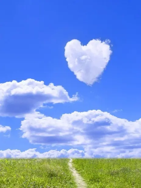 Condolence image of Michaela 