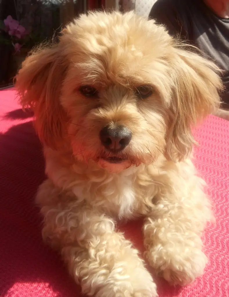 Condolence image of Barbara