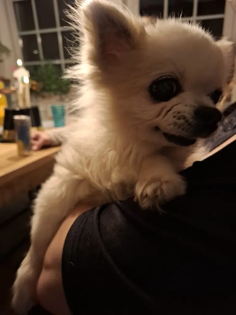 Condolence image of Tanita ,Kevin Sunny , Nero