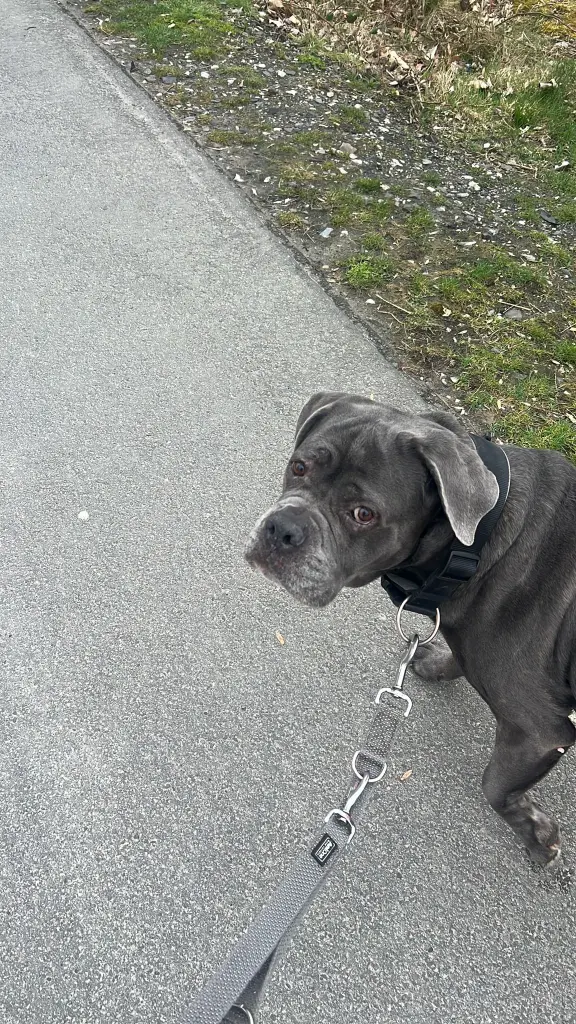 Bild von Alma