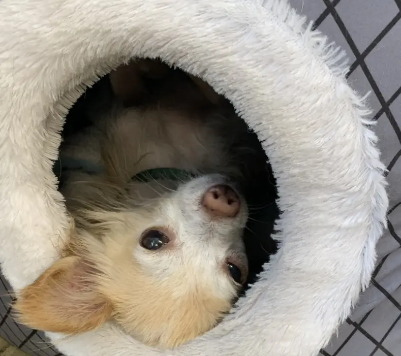 Condolence image of Milena Parade