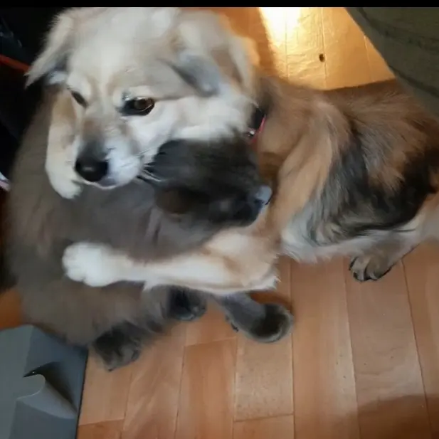 Andachtsbild von Martina Maria Rauen