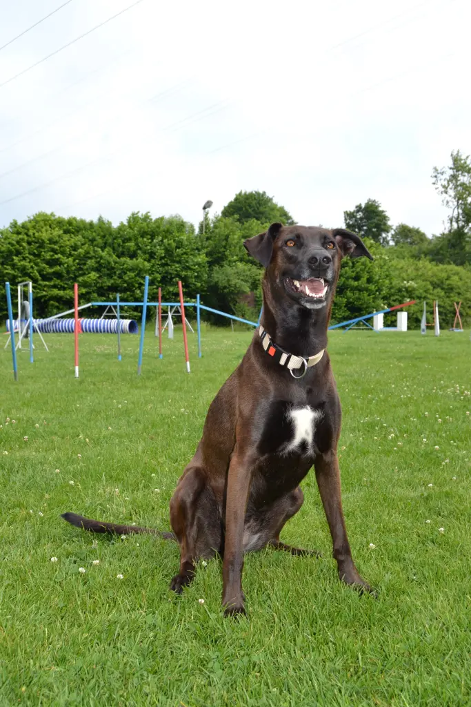 Andachtsbild von Carmen