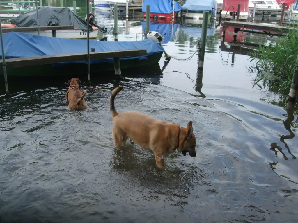 Luna am Tegeler See Berlin 2014