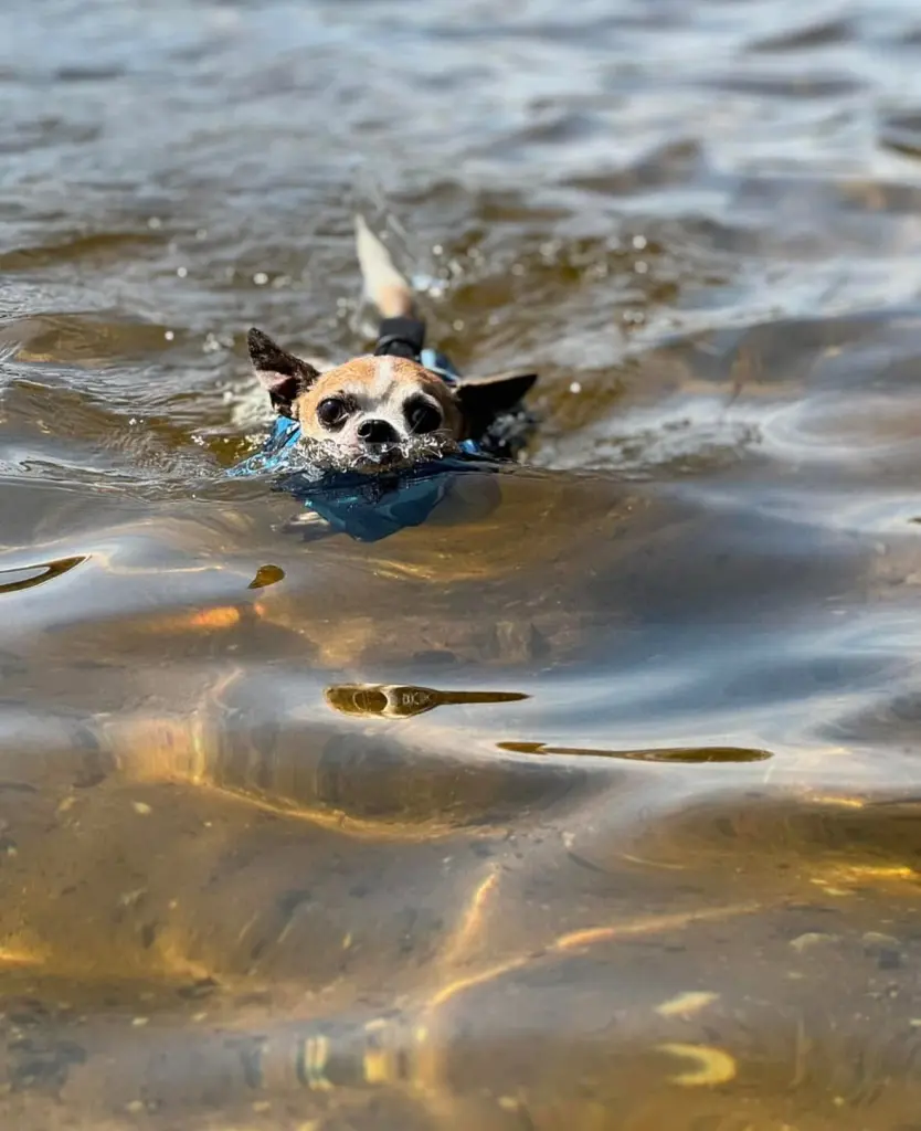 Andachtsbild von Laura