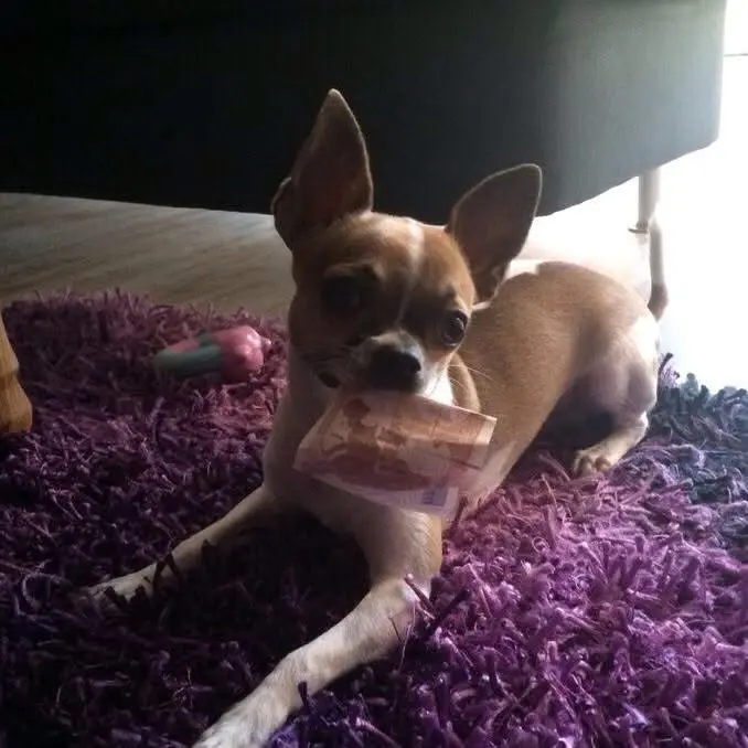 Geldschein gestohlen