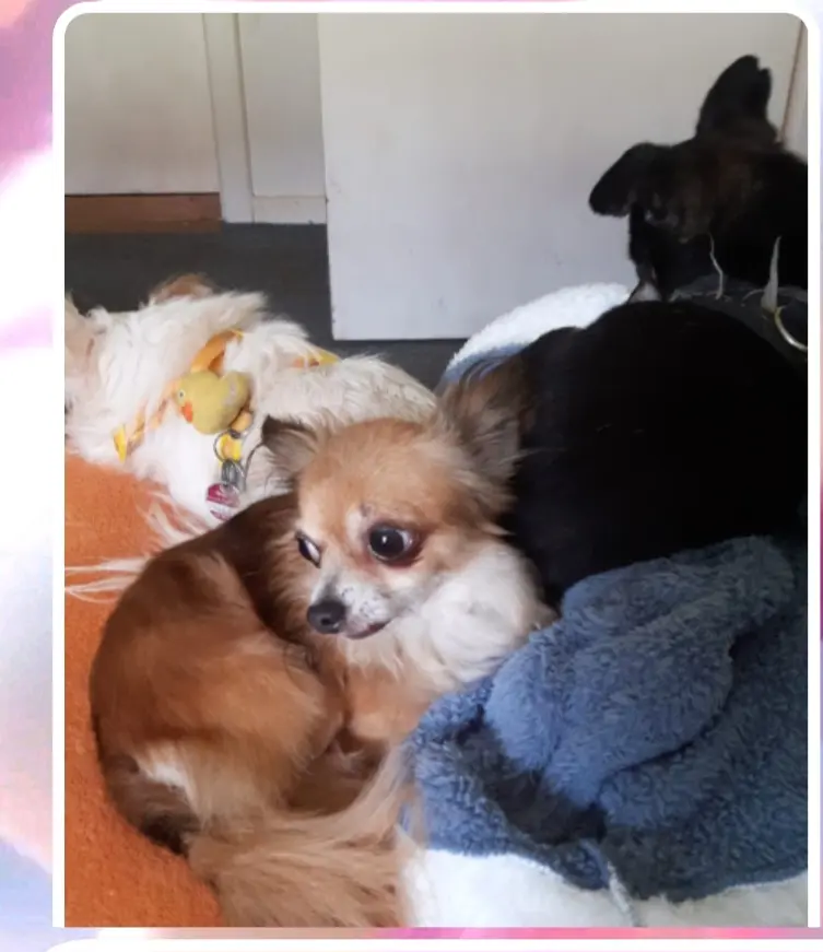 Ein gemeinsames  kuscheln