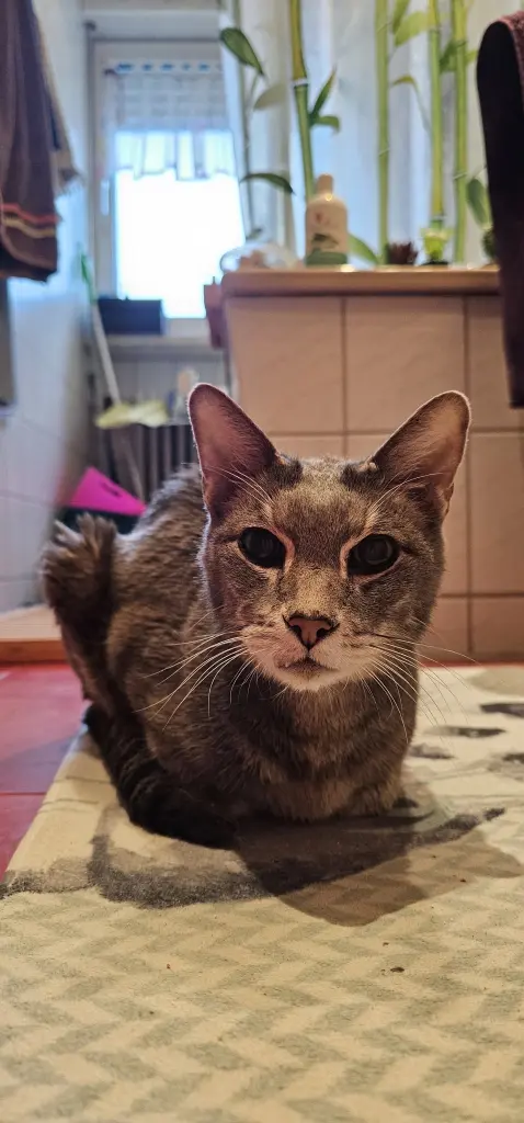 Von seinem letzten Tag, immer noch mit wachem Blick.