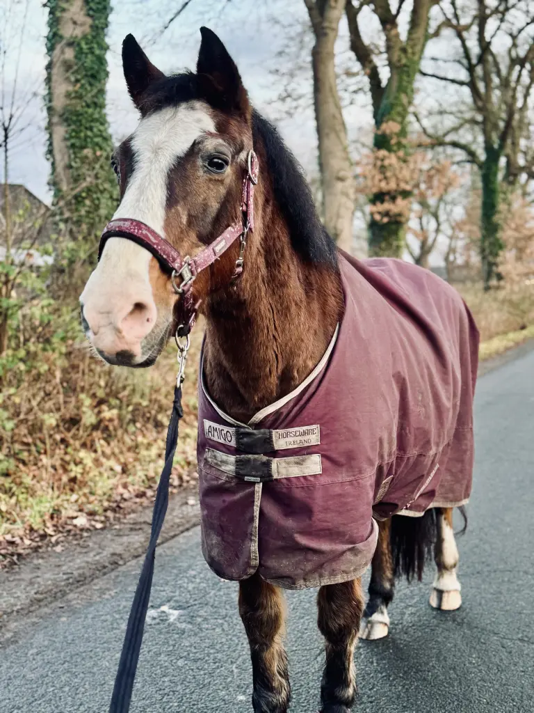 Bild von Bonnie