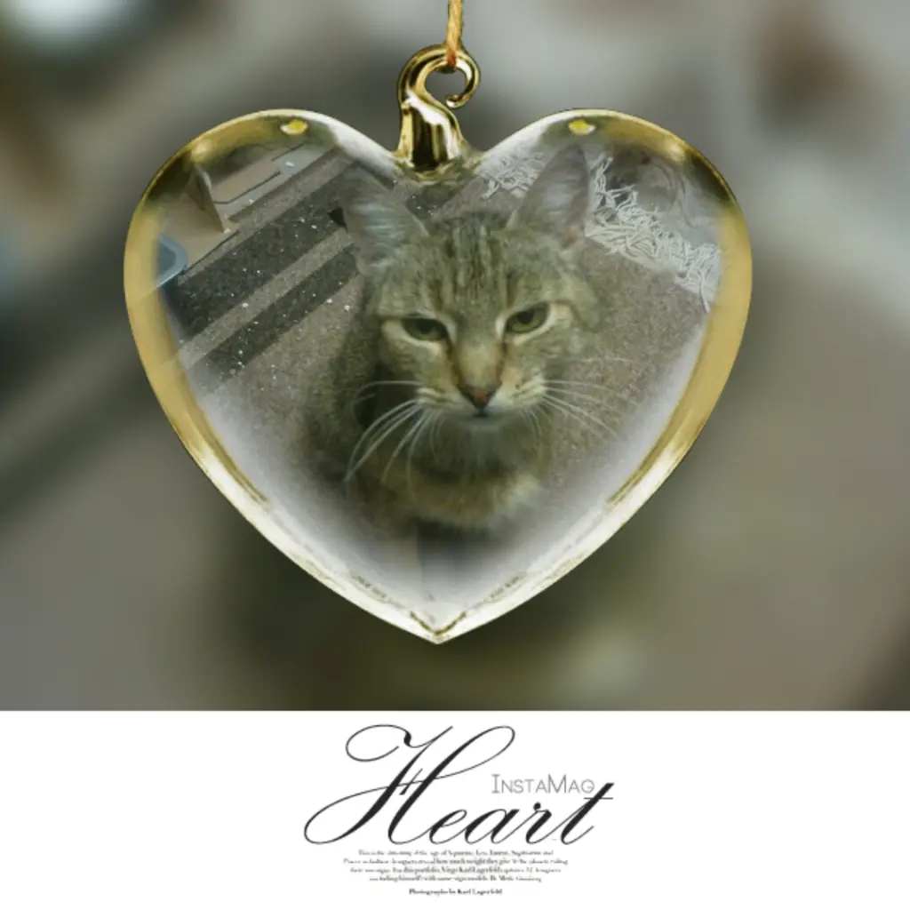 Condolence image of Carola