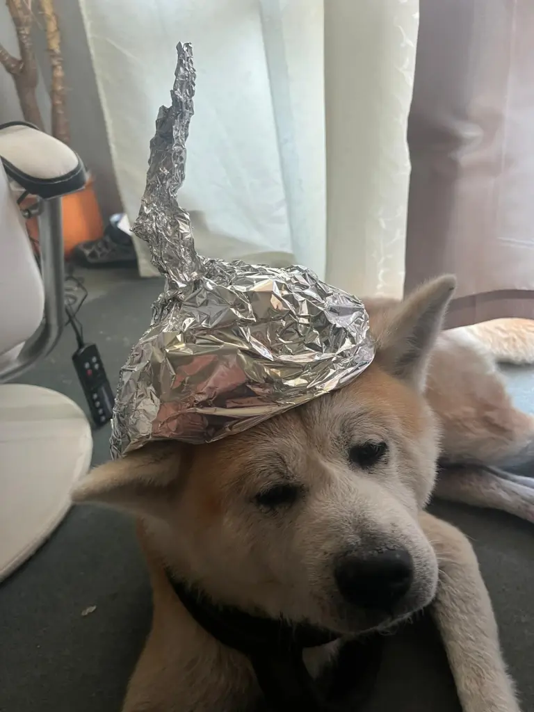 Condolence image of Kathleen Prengel