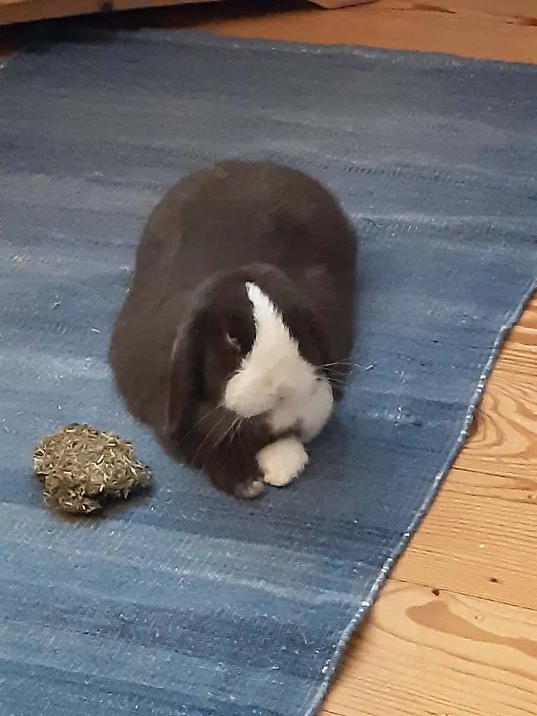 Bild von Mathilda