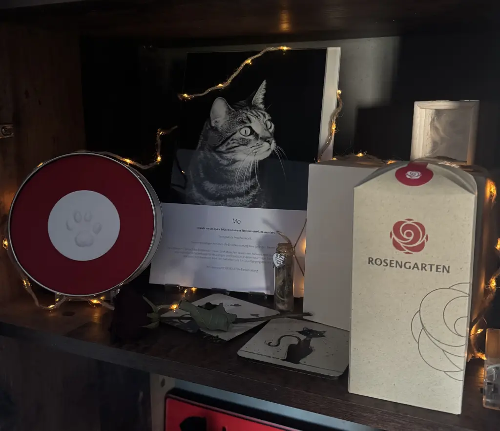 Image from Mo