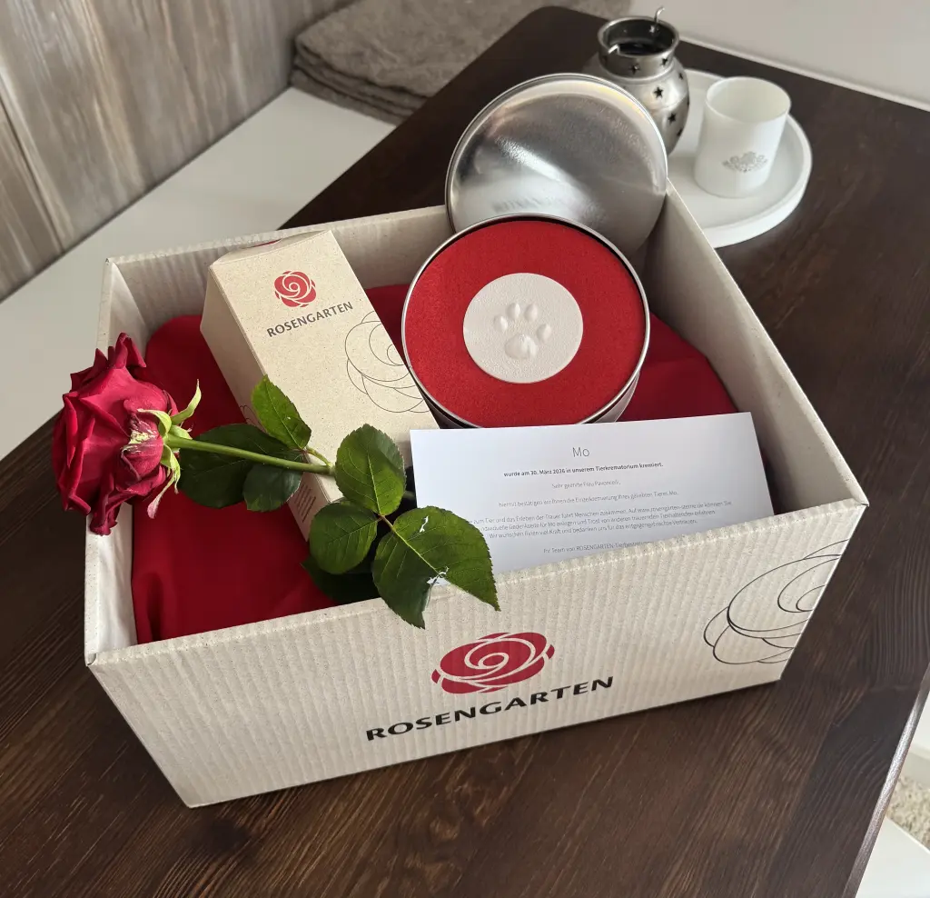 Image from Mo