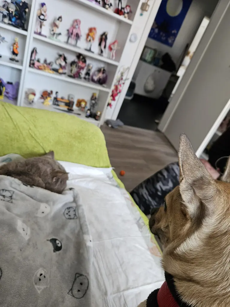 Condolence image of Bianca B.