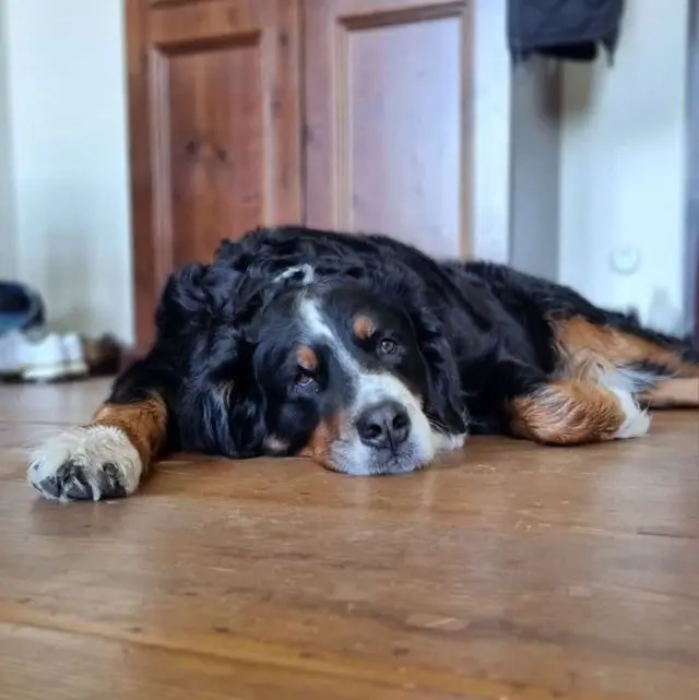 Condolence image of Beate Badorrek