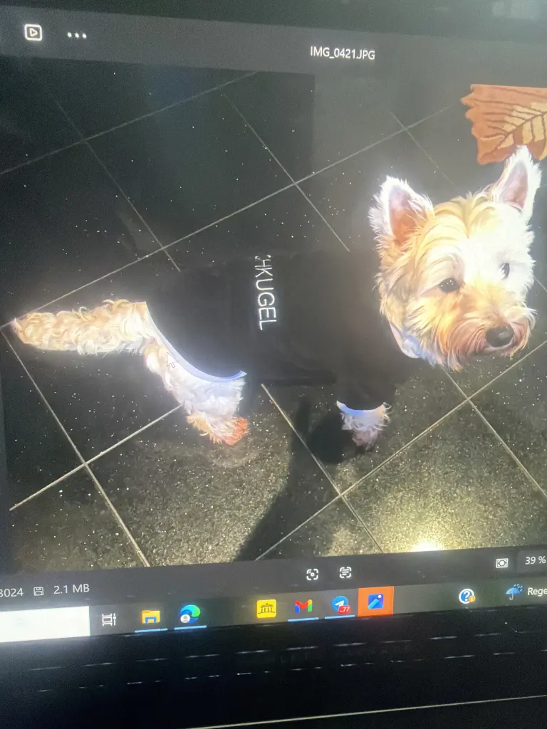 Meine Knutschkugel ❤️