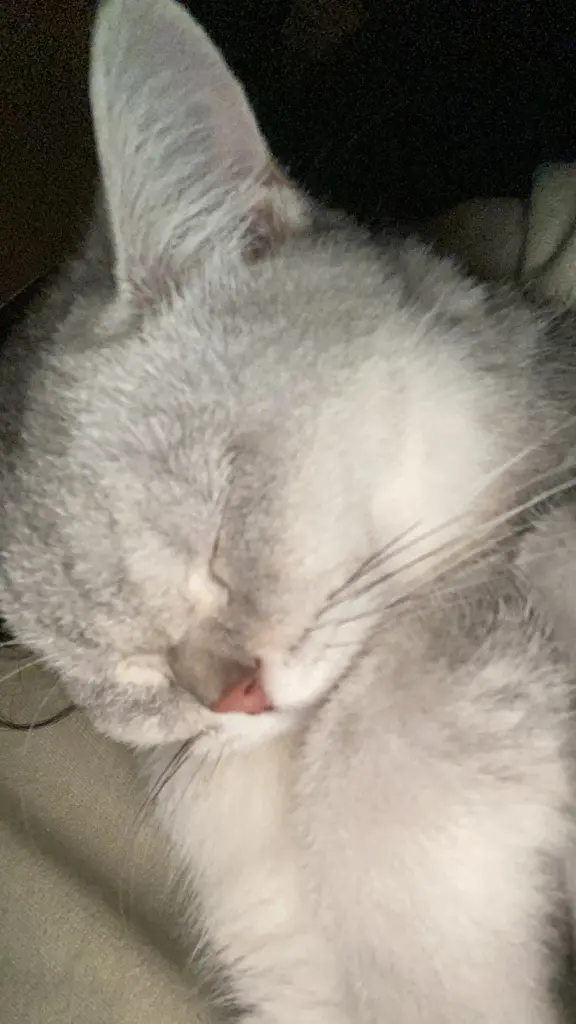 Andachtsbild von melda kerter